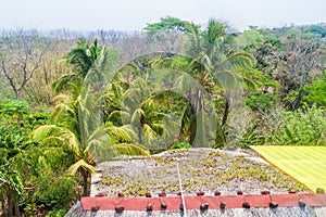 Thatched hut, part of a hostel on Ometepe island, Nicarag