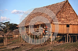 Thatched hut on Peruvian Amazon
