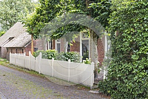 Thatched monumental houses in Norg The Netherlands photo