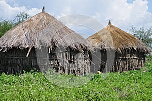 Thatched mud hut homes and stick in green African grassland, Tanzania, Africa