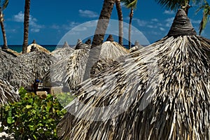 A thatched palm frond palapa umbrella on a beautiful beach