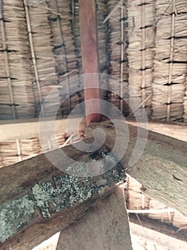 thatched roof with bamboo slats and wooden support posts, a tree house in the garden