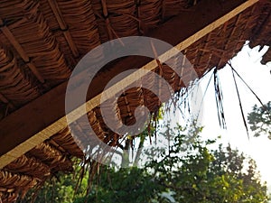 thatched roof with bamboo slats and wooden support posts, a tree house in the garden