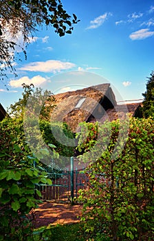 Thatched roof on a boathouse with front yard