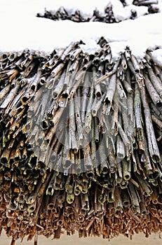 Thatched roof house detail of straw eaves