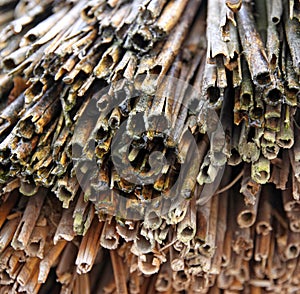 Thatched roof house detail of straw eaves