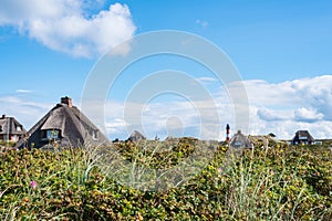 Thatched-roof houses hidden in beach grass covered dunes at coast of the island of Sylt, Germany with red and white lighthouse photo