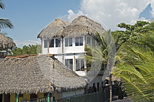 Thatched roof jungle residence