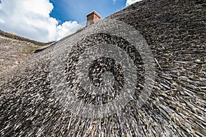 Thatched Roof