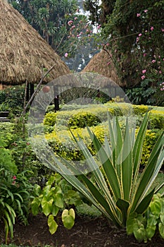 Thatched Shelters in Rwanda photo