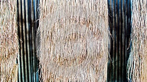 Thatched Straw Wall