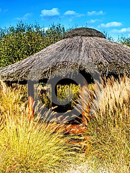 Thatched summer house
