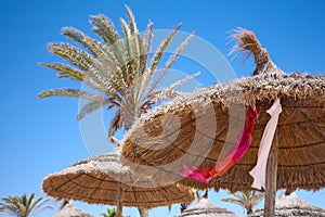 Thatched sunshades and palm trees