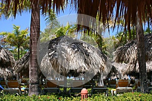 Thatched sunshades at resort