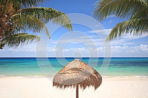 Thatched umbrella between palm trees