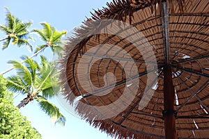 Thatched umbrella with palm trees in the background at a resort in Kona Hawaii