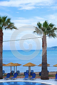 Thatched Umbrella Shedding the Sunlight. Lounge Chairs Facing the Ocean and Pool. Big Palm Trees Standing in between