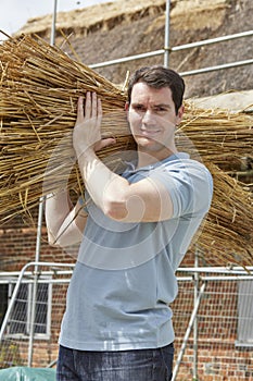 Thatcher Carrying Bundles Of Reeds Working On Roof