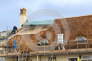 Thatching a roof with water reed