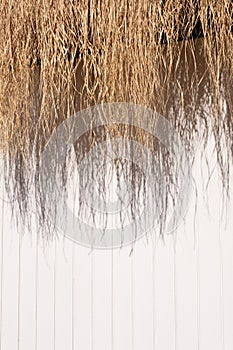 Thatching straw roof isolated on white background