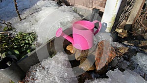 A thaw in early spring drops into the watering can