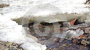 Thawed patch on frozen river. Frozen ice river is melting in spring with ice flakes flowing. Cracked ice floating on the