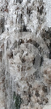 Thawing icicles of a frozen brook, the water flows downwards