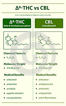 Ã¢Ëâ 8-THC vs CBL, Delta 8 Tetrahydrocannabinol vs Cannabicyclol vertical infographic photo