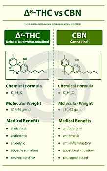 Ã¢Ëâ 8-THC vs CBN, Delta 8 Tetrahydrocannabinol vs Cannabinol, vertical infographic photo