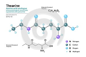 Theanine. C7H14N2O3 Amino Acid Analogue of L-glutamate and L-glutamine. Structural Chemical Formula and Molecule 3d Model