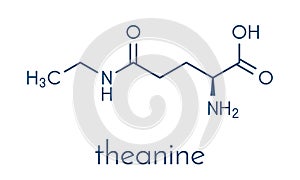 Theanine herbal molecule. Constituent of tea prepared from Camellia sinensis. Also taken as nutritional supplement. Skeletal. photo