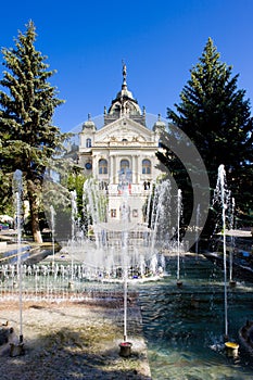 Theatre of J. Borodac with fountain, Kosice, Slovakia