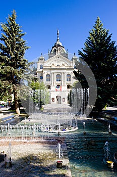 Theatre of J. Borodac with fountain, Kosice, Slovakia