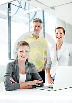 Their expertise gives them a competitve advantage. Portrait of a successful group of professionals in an office setting.