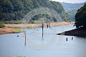 Thekkady Lake Boating view at Periyar National Park