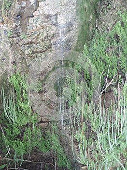 Thematic river, a river in the mountains, fields with rocks and vegetation