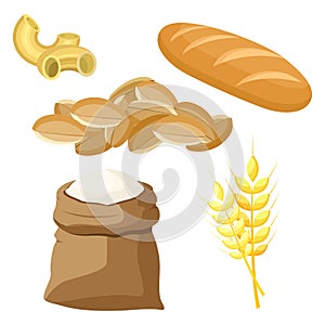 Thematic set of food products from wheat and flour.