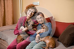 The theme is animal therapy, caring for elderly with dementia and Alzheimer`s disease. Adult women spend time with elderly mother