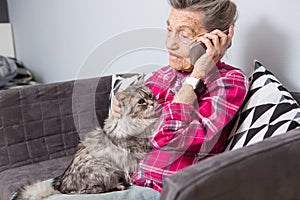 Theme old person uses technology. Mature contented joy smile active gray hair Caucasian wrinkles woman sitting home