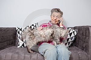 Theme old person uses technology. Mature contented joy smile active gray hair Caucasian wrinkles woman sitting home