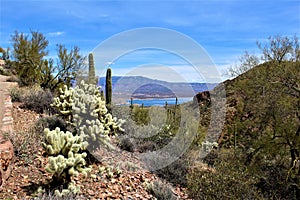 Theodore Roosevelt Lake, Gila County, Arizona