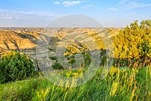 Theodore Roosevelt National Park