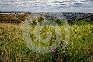 Theodore Roosevelt National Park North Unit