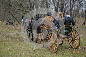 Decorated cart for St. Theodore`s day