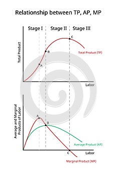 Theory of Production for Total Product, Average Product, Marginal Product photo