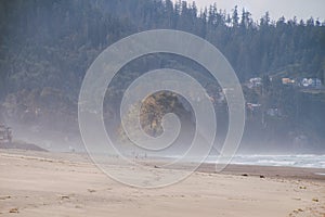 Proposal Rock, Oregon in a foggy day