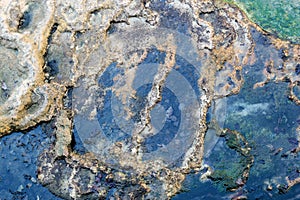 Therapeutic mineral water at a natural hot spring in Karlovy Vary, Czech Republic. hydrogen sulphide