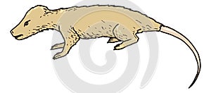 therapsids rat mouse dinosaur ancient vector illustration transparent background