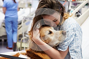 Therapy Dog Visiting Young Female Patient In Hospital