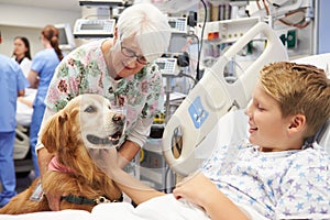 Therapy Dog Visiting Young Male Patient In Hospital